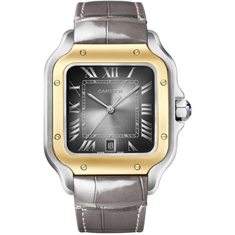 Cartier Santos de Cartier