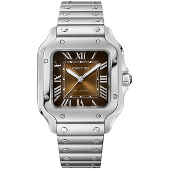 Cartier Santos de Cartier