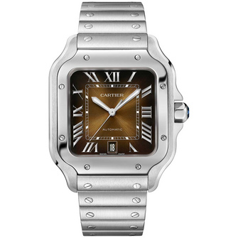 Cartier Santos de Cartier