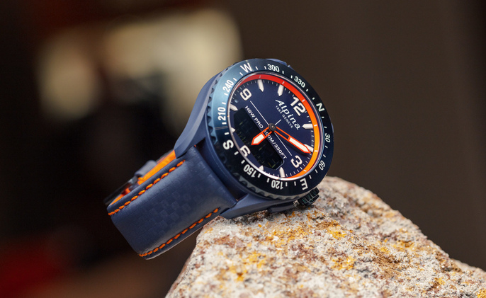 alpina alpinerx price
