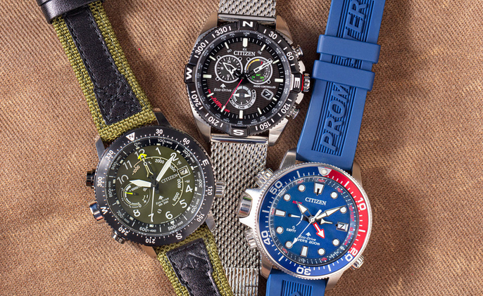 Promaster altichron citizen online
