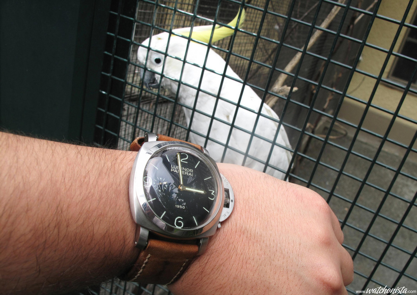 Pam 127 price sales