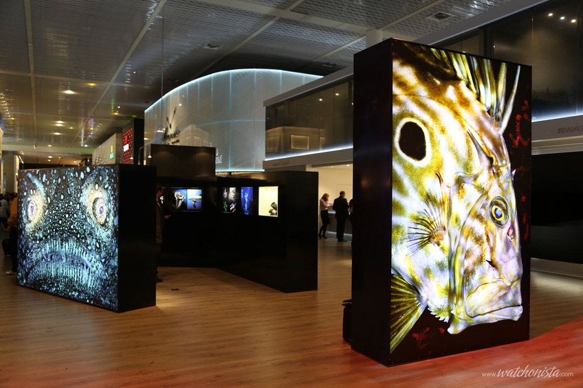 Fifty Fathoms 60 years anniversary