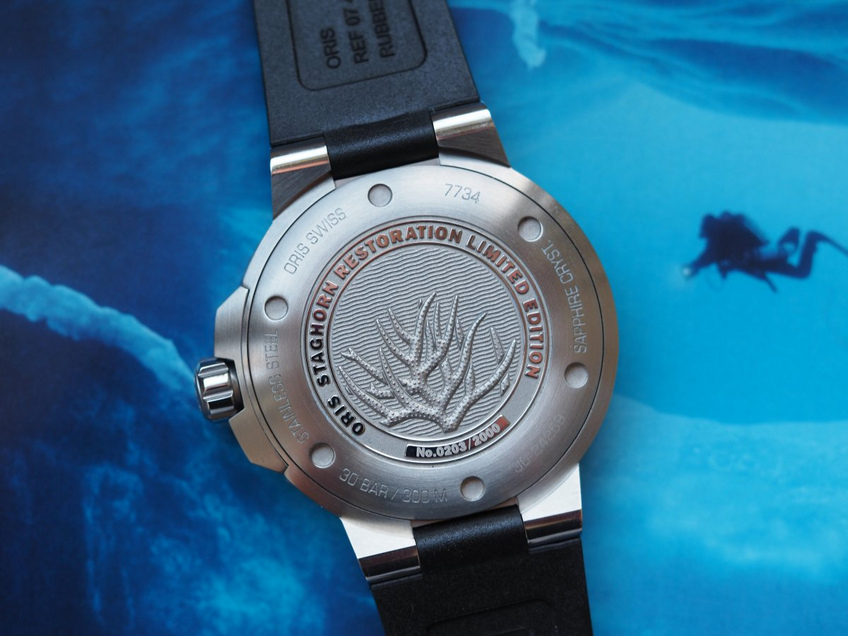 ORIS Staghorn Restoration Limited Edition ORIS Staghorn Restoration Limited Edition