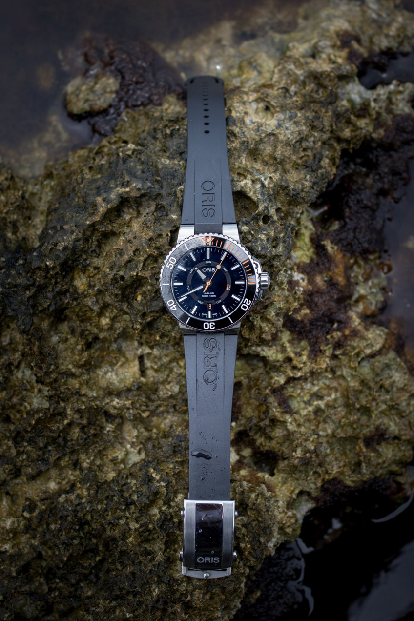 ORIS Staghorn Restoration Limited Edition ORIS Staghorn Restoration Limited Edition
