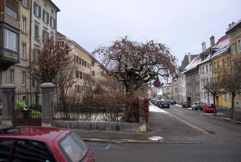 A street-garden-residence A street-garden-residence