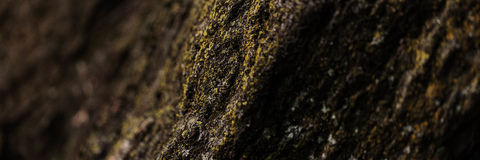 New York City - Central Park New York City - Central Park