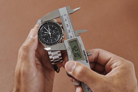 Ebay watch authentication online