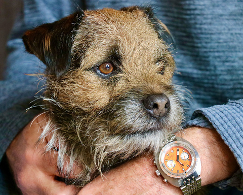 Dog wrist watch on sale