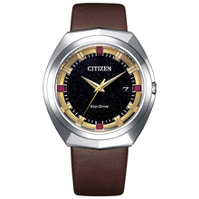 Citizen Eco-Drive 365 Limited Edition