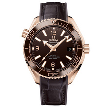 Seamaster Planet Ocean 2