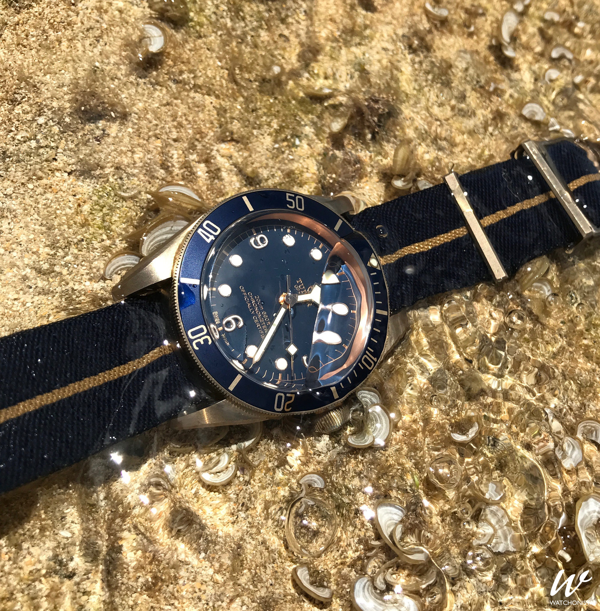 Review TUDOR Black Bay Bronze Blue Bucherer Edition Watchonista