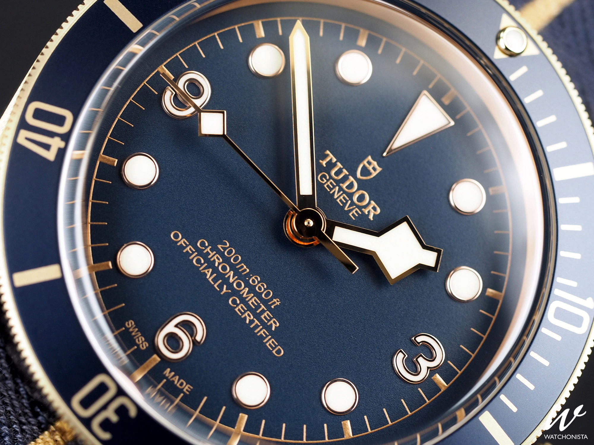Review TUDOR Black Bay Bronze Blue Bucherer Edition Watchonista