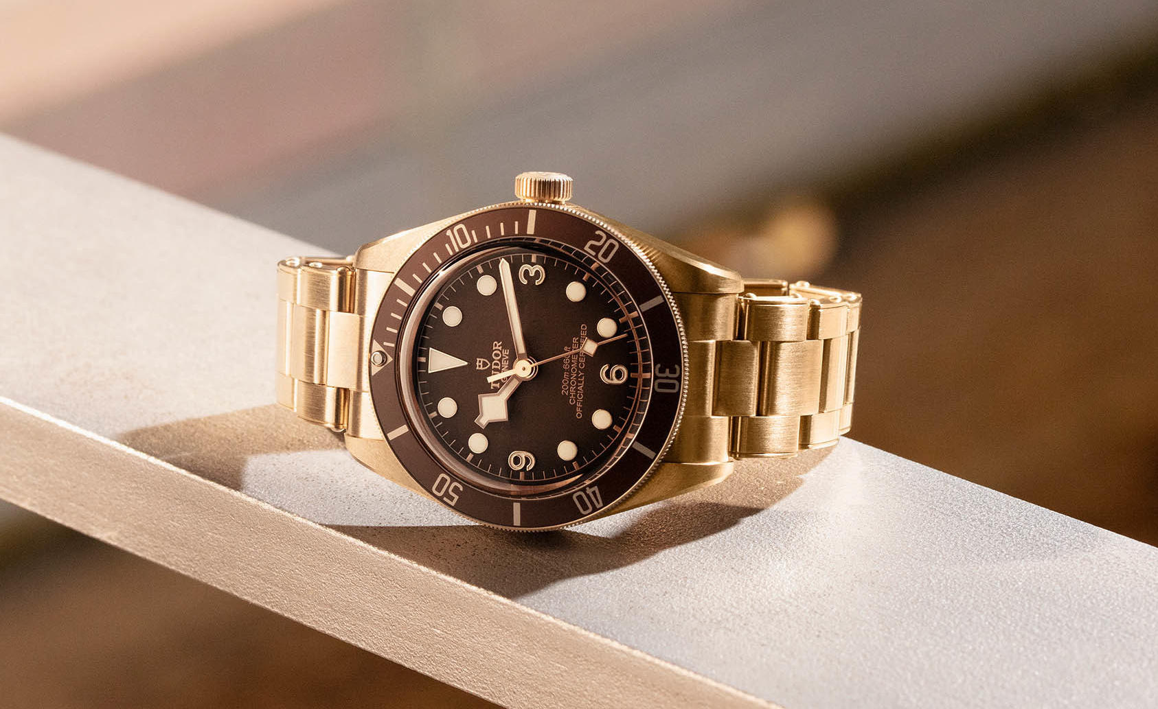 Tudor black sales bay invest