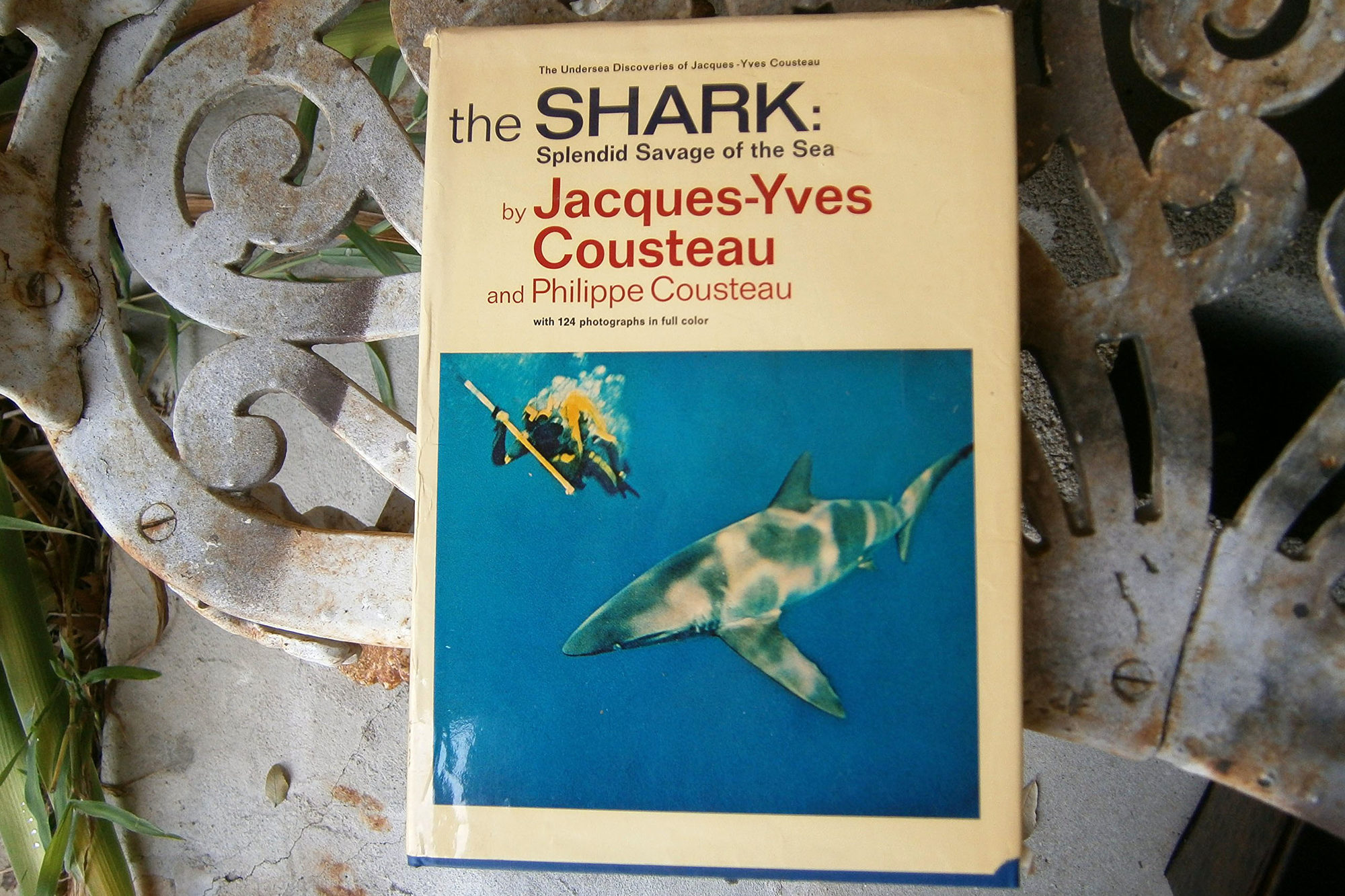 We Re Going To Need A Bigger Watch A Sharktastic Guide To
