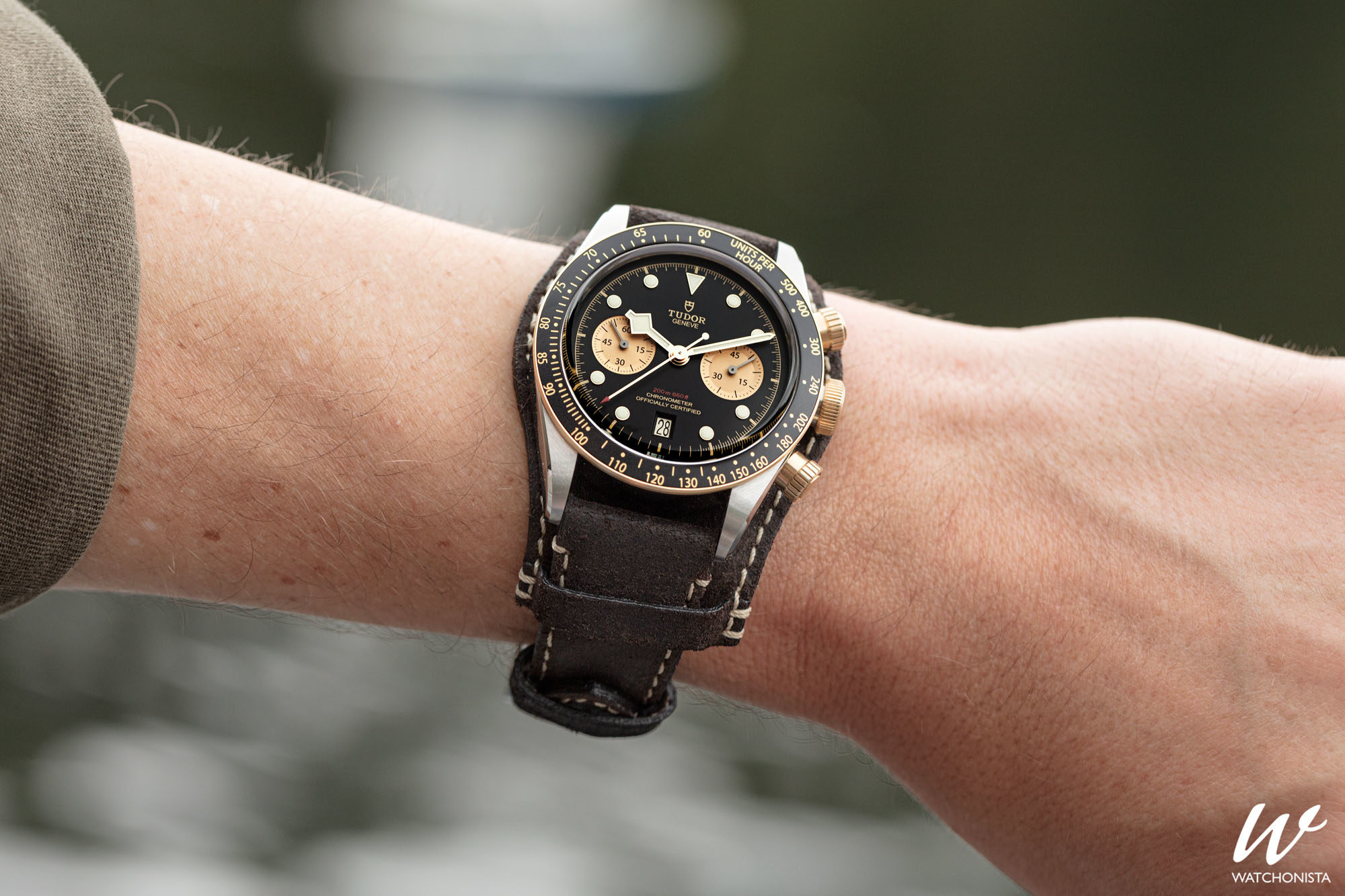 tudor chrono s&g