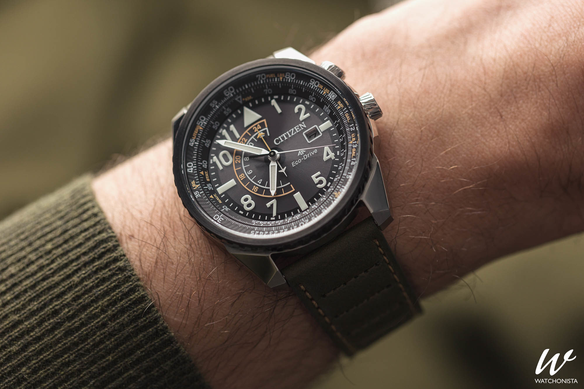 citizen men's promaster nighthawk watch
