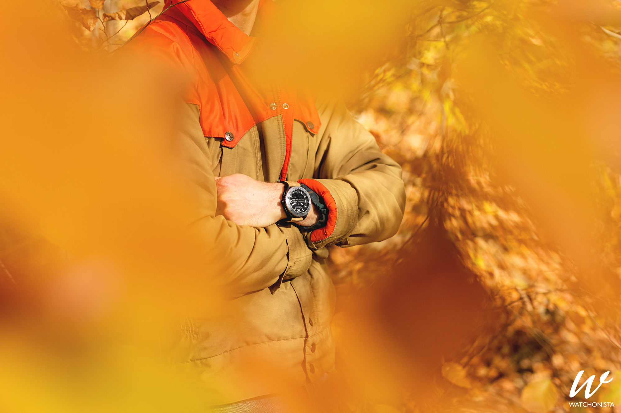 alpina alpinerx price