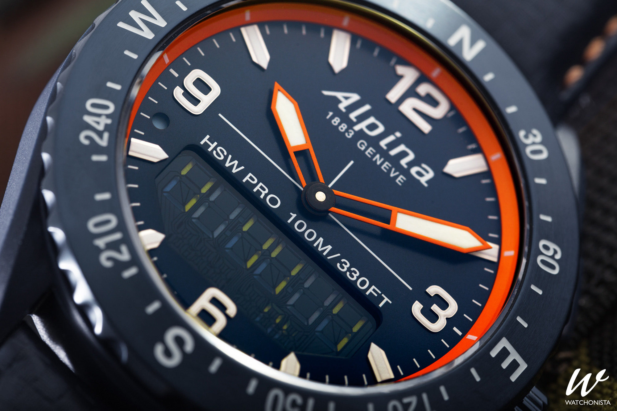 alpina alpinerx