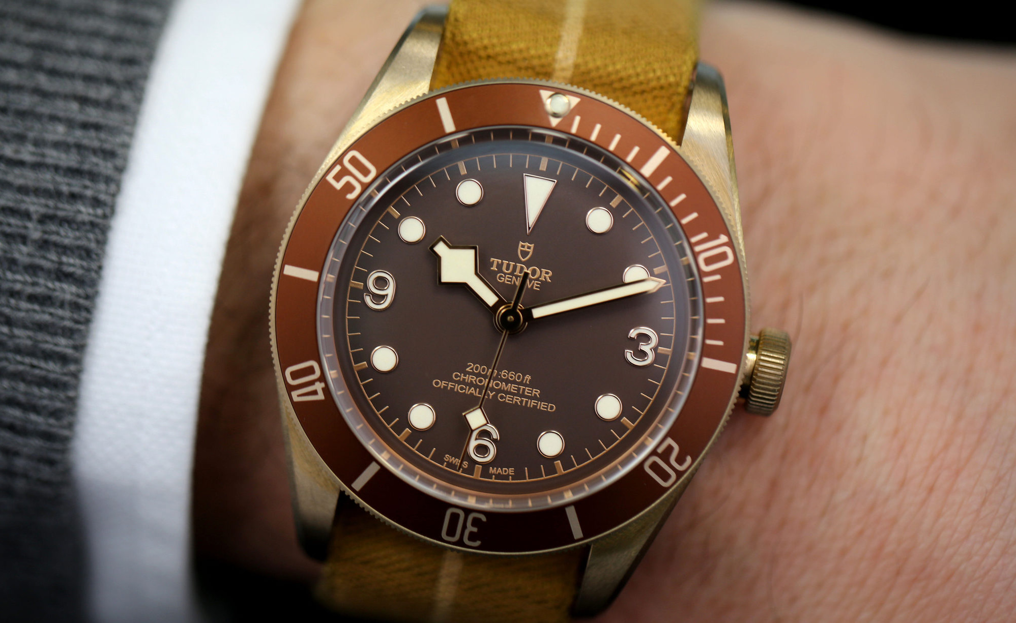 Tudor black bay clearance rouge
